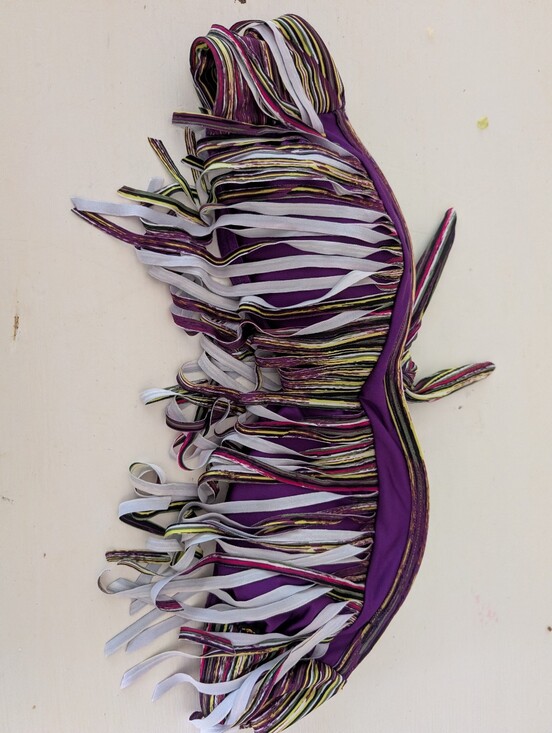 Other - Purple Fringe Bikini Top with Multicolor Striped Accents